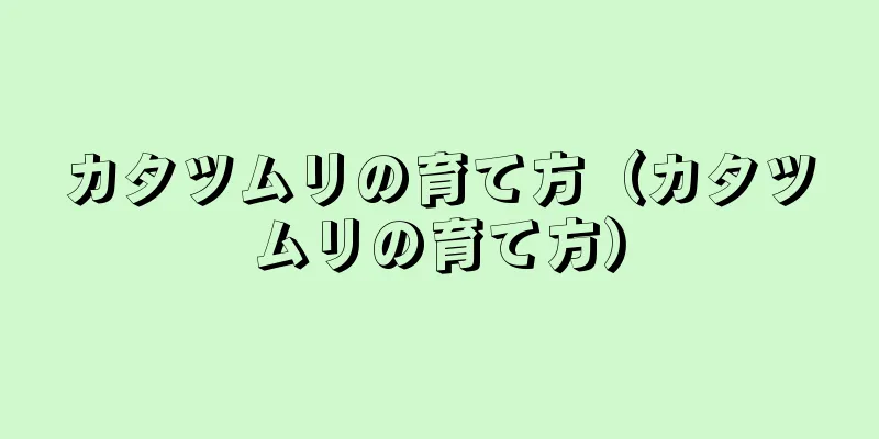 カタツムリの育て方（カタツムリの育て方）