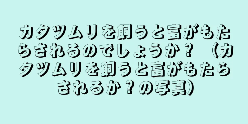 カタツムリを飼うと富がもたらされるのでしょうか？ （カタツムリを飼うと富がもたらされるか？の写真）