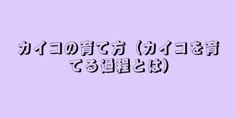 カイコの育て方（カイコを育てる過程とは）