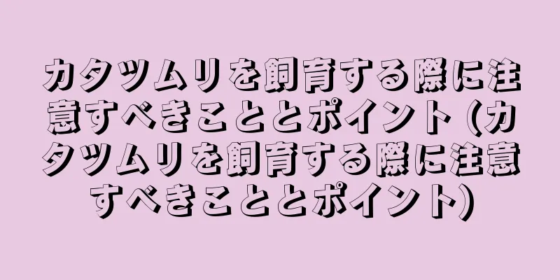 カタツムリを飼育する際に注意すべきこととポイント (カタツムリを飼育する際に注意すべきこととポイント)