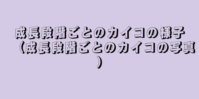 成長段階ごとのカイコの様子（成長段階ごとのカイコの写真）