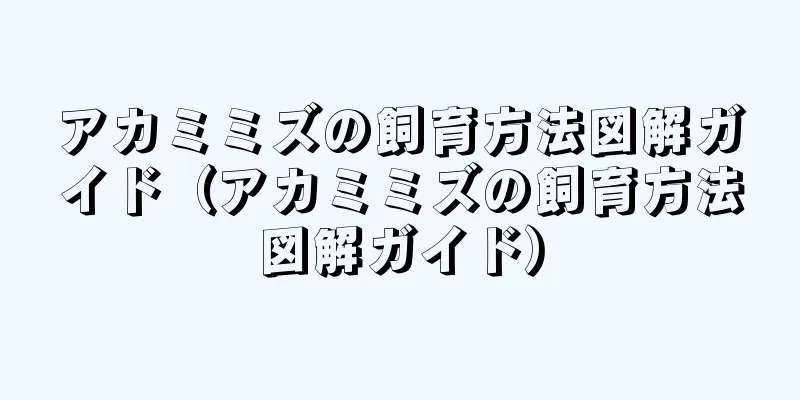アカミミズの飼育方法図解ガイド（アカミミズの飼育方法図解ガイド）