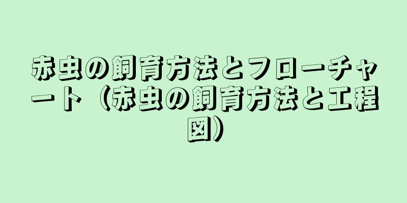 赤虫の飼育方法とフローチャート（赤虫の飼育方法と工程図）
