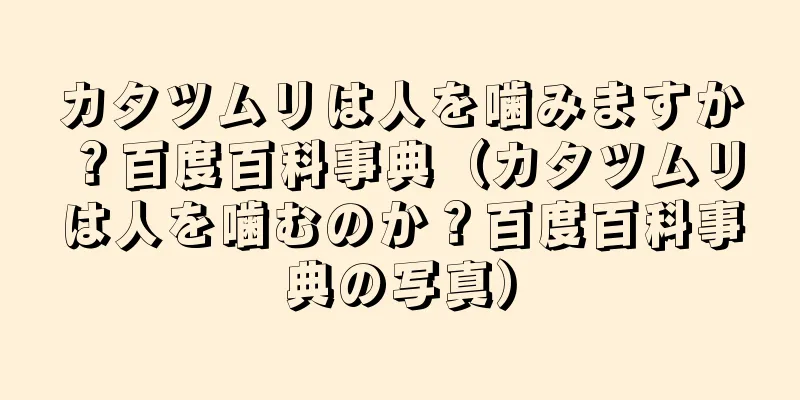 カタツムリは人を噛みますか？百度百科事典（カタツムリは人を噛むのか？百度百科事典の写真）
