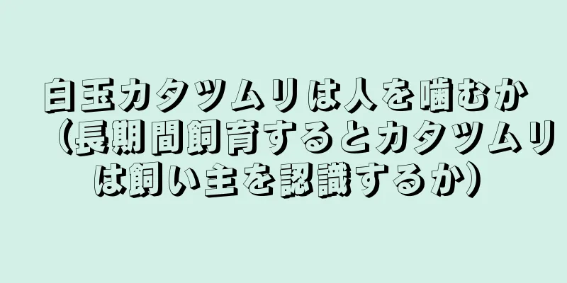 白玉カタツムリは人を噛むか（長期間飼育するとカタツムリは飼い主を認識するか）