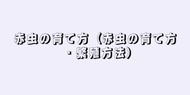 赤虫の育て方（赤虫の育て方・繁殖方法）