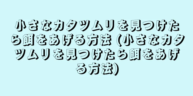 小さなカタツムリを見つけたら餌をあげる方法 (小さなカタツムリを見つけたら餌をあげる方法)