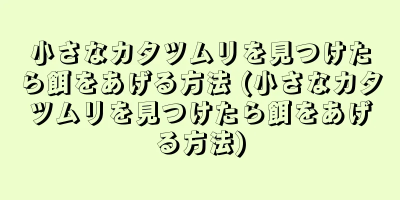 小さなカタツムリを見つけたら餌をあげる方法 (小さなカタツムリを見つけたら餌をあげる方法)