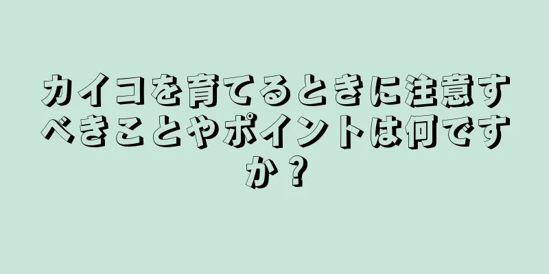 カイコを育てるときに注意すべきことやポイントは何ですか？