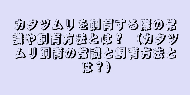 カタツムリを飼育する際の常識や飼育方法とは？ （カタツムリ飼育の常識と飼育方法とは？）
