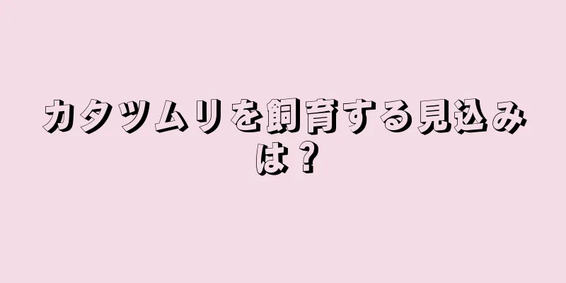 カタツムリを飼育する見込みは？