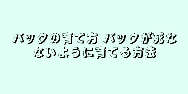 バッタの育て方 バッタが死なないように育てる方法
