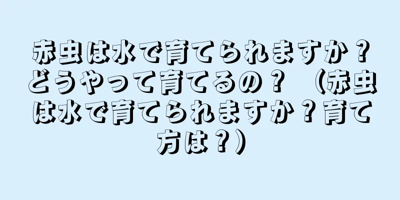 赤虫は水で育てられますか？どうやって育てるの？ （赤虫は水で育てられますか？育て方は？）