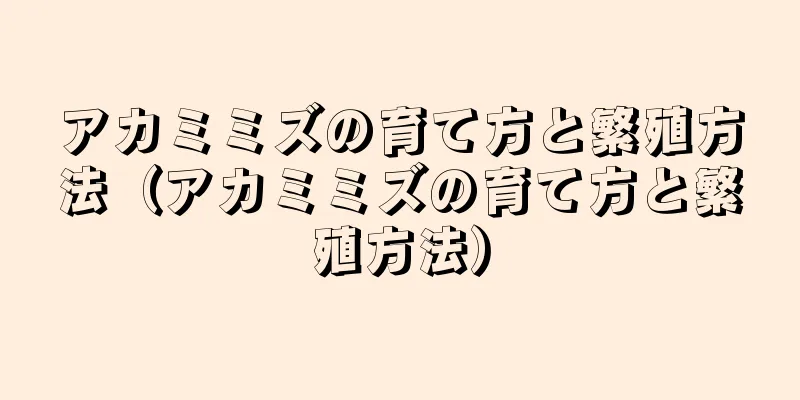 アカミミズの育て方と繁殖方法（アカミミズの育て方と繁殖方法）