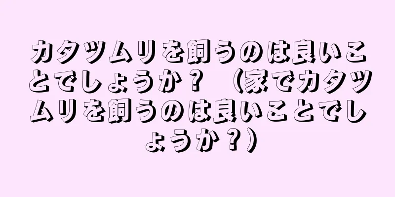 カタツムリを飼うのは良いことでしょうか？ （家でカタツムリを飼うのは良いことでしょうか？）