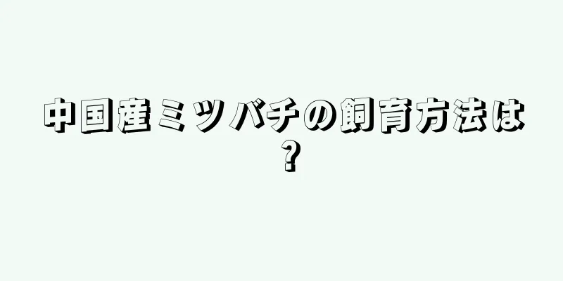 中国産ミツバチの飼育方法は？