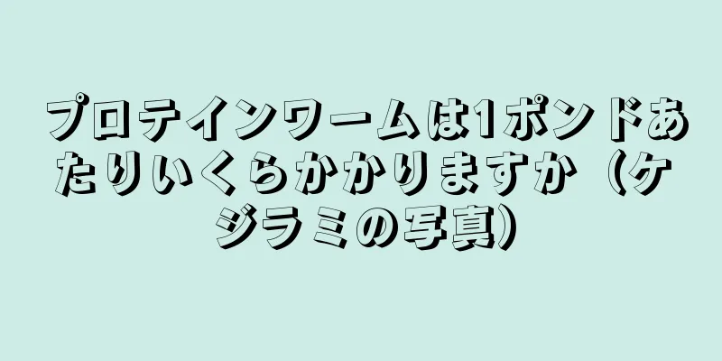 プロテインワームは1ポンドあたりいくらかかりますか（ケジラミの写真）