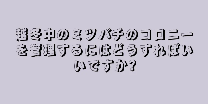 越冬中のミツバチのコロニーを管理するにはどうすればいいですか?