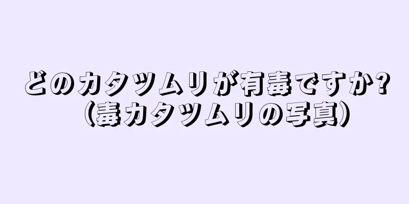 どのカタツムリが有毒ですか? （毒カタツムリの写真）