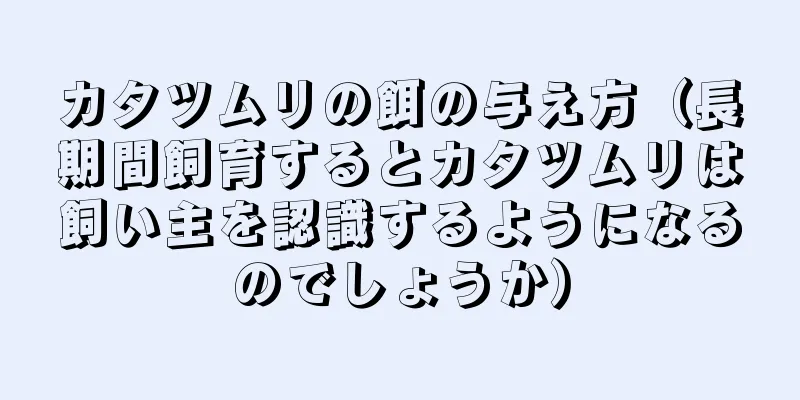 カタツムリの餌の与え方（長期間飼育するとカタツムリは飼い主を認識するようになるのでしょうか）