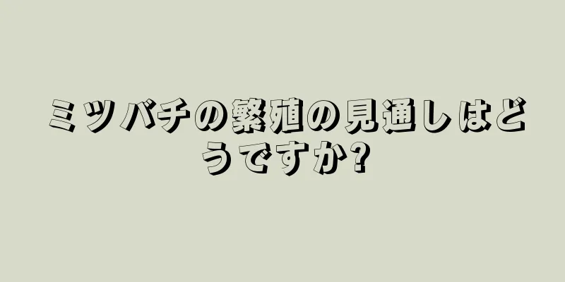 ミツバチの繁殖の見通しはどうですか?