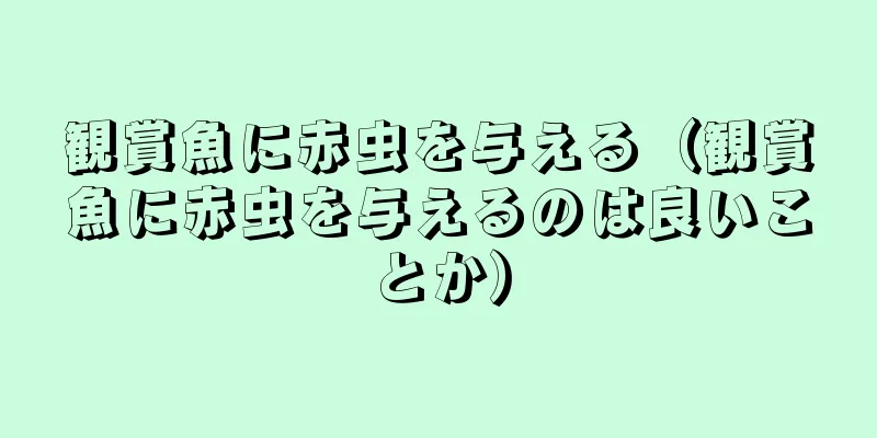観賞魚に赤虫を与える（観賞魚に赤虫を与えるのは良いことか）