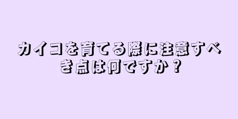 カイコを育てる際に注意すべき点は何ですか？