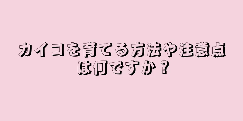 カイコを育てる方法や注意点は何ですか？