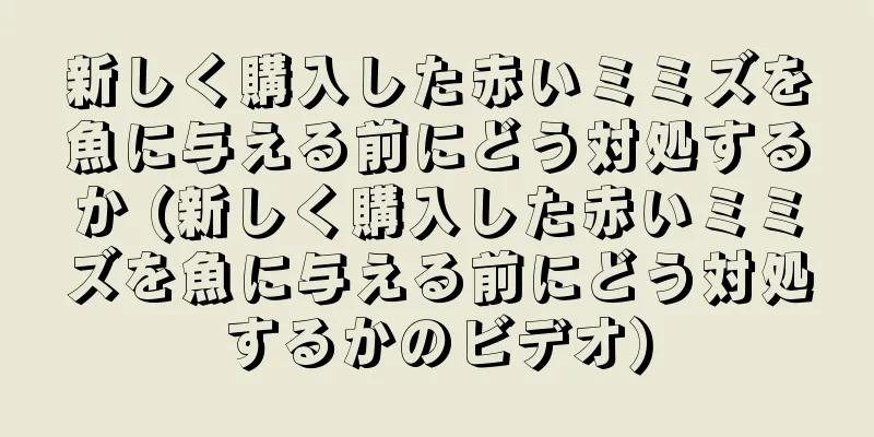 新しく購入した赤いミミズを魚に与える前にどう対処するか (新しく購入した赤いミミズを魚に与える前にどう対処するかのビデオ)
