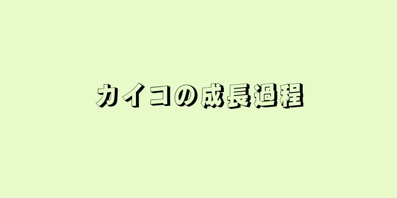 カイコの成長過程