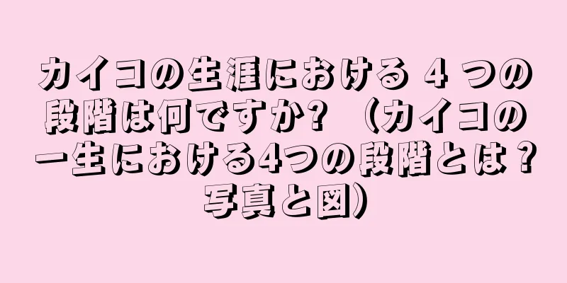 カイコの生涯における 4 つの段階は何ですか? （カイコの一生における4つの段階とは？写真と図）