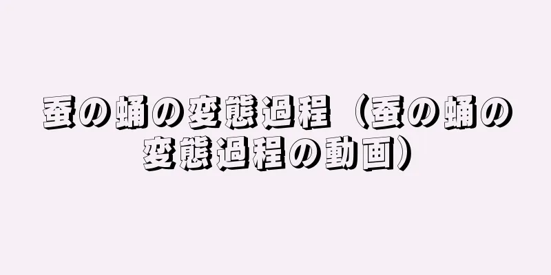 蚕の蛹の変態過程（蚕の蛹の変態過程の動画）
