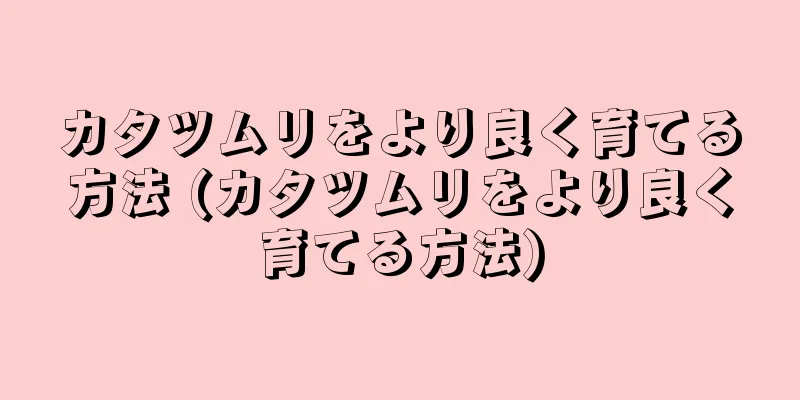カタツムリをより良く育てる方法 (カタツムリをより良く育てる方法)