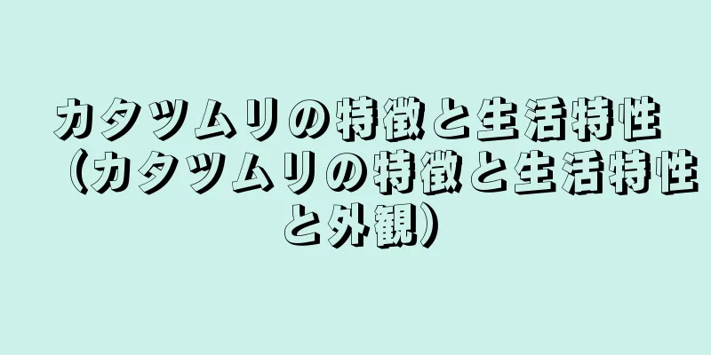 カタツムリの特徴と生活特性（カタツムリの特徴と生活特性と外観）