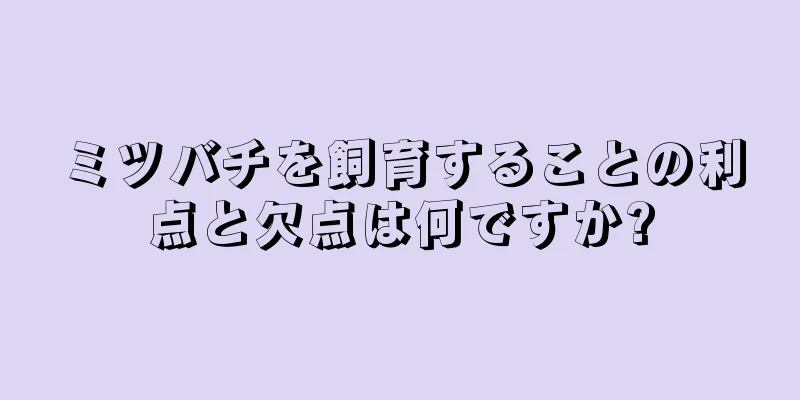 ミツバチを飼育することの利点と欠点は何ですか?