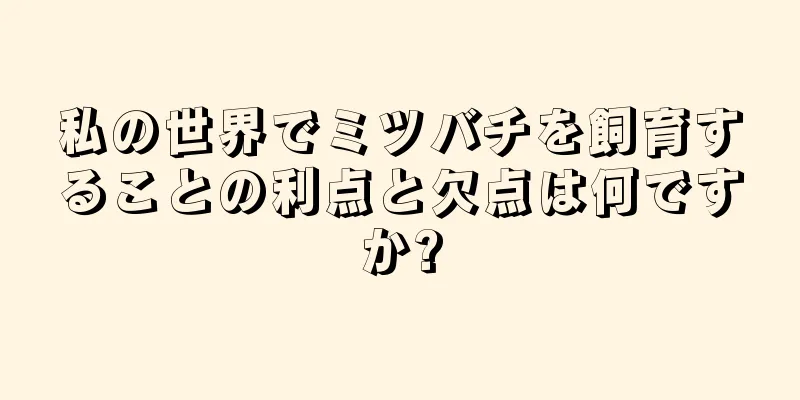 私の世界でミツバチを飼育することの利点と欠点は何ですか?