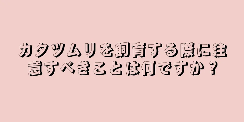 カタツムリを飼育する際に注意すべきことは何ですか？