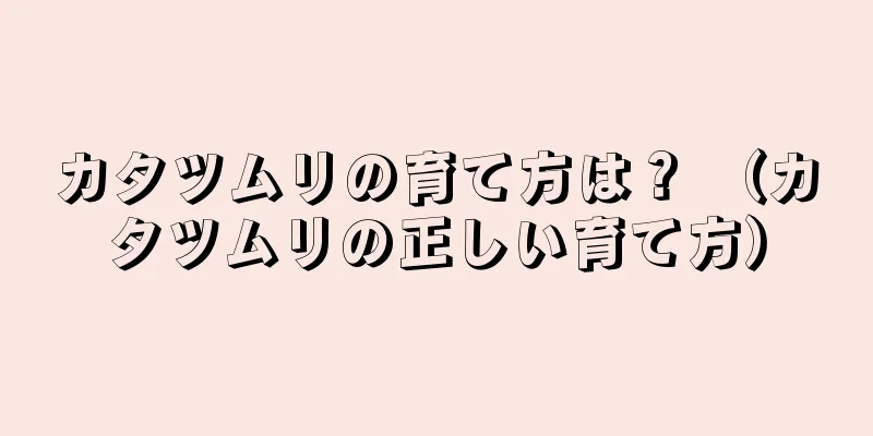 カタツムリの育て方は？ （カタツムリの正しい育て方）