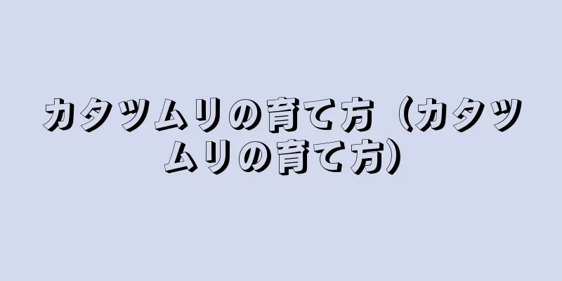 カタツムリの育て方（カタツムリの育て方）