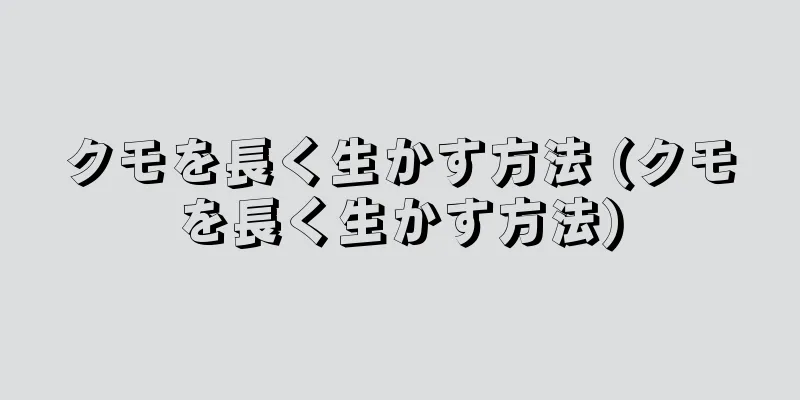 クモを長く生かす方法 (クモを長く生かす方法)