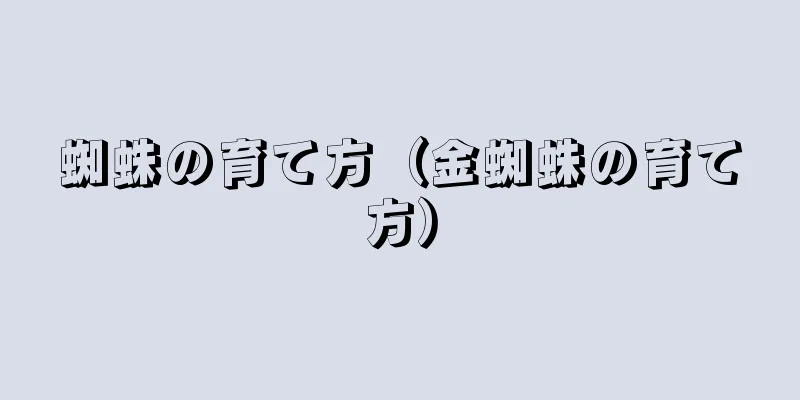 蜘蛛の育て方（金蜘蛛の育て方）
