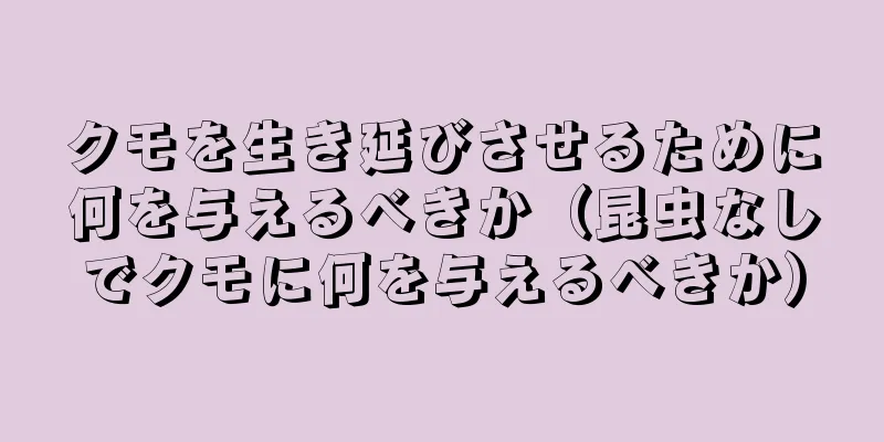 クモを生き延びさせるために何を与えるべきか（昆虫なしでクモに何を与えるべきか）