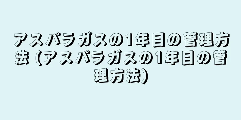 アスパラガスの1年目の管理方法 (アスパラガスの1年目の管理方法)
