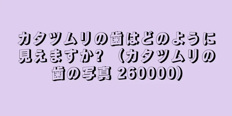 カタツムリの歯はどのように見えますか? （カタツムリの歯の写真 260000）