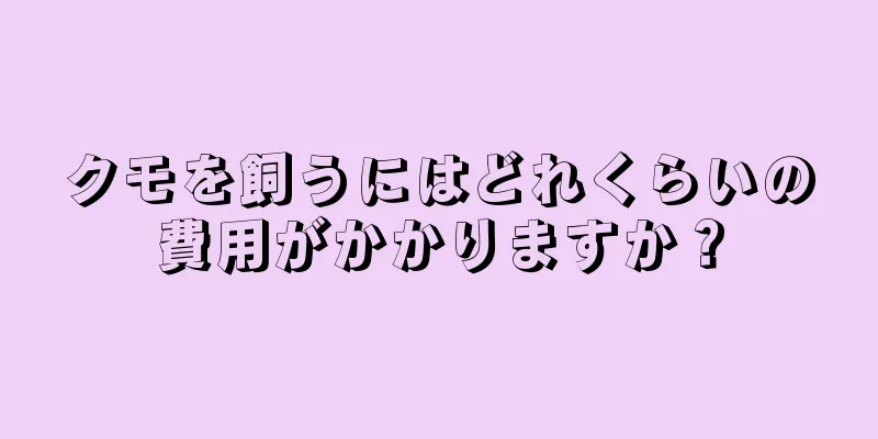 クモを飼うにはどれくらいの費用がかかりますか？