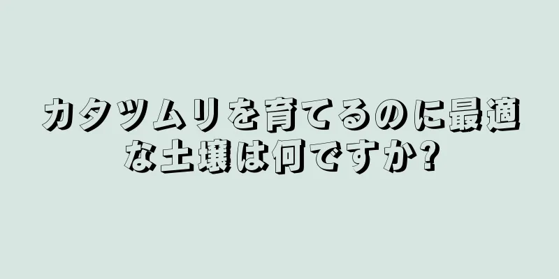 カタツムリを育てるのに最適な土壌は何ですか?