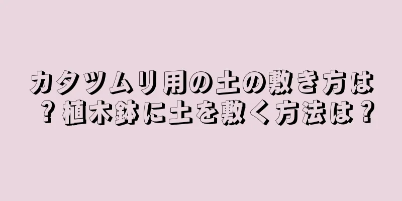 カタツムリ用の土の敷き方は？植木鉢に土を敷く方法は？