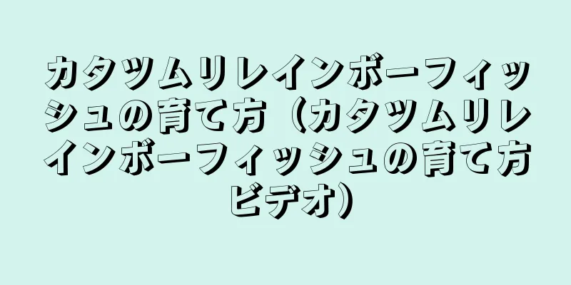 カタツムリレインボーフィッシュの育て方（カタツムリレインボーフィッシュの育て方ビデオ）