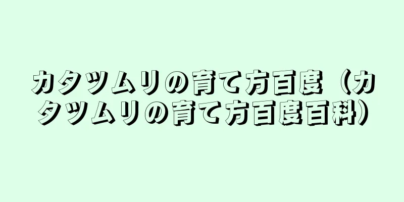 カタツムリの育て方百度（カタツムリの育て方百度百科）