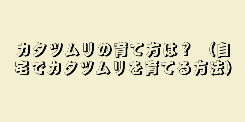 カタツムリの育て方は？ （自宅でカタツムリを育てる方法）